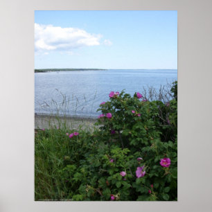 Marlboro Beach, Maine Poster