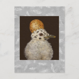 Marley, die Babyseagull-Postkarte Postkarte