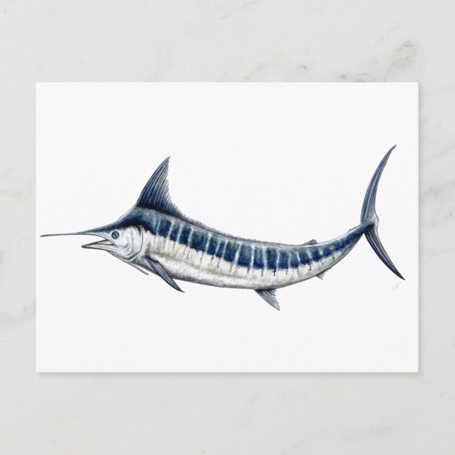 Marlin azul-redbubble postkarte (Vorderseite)