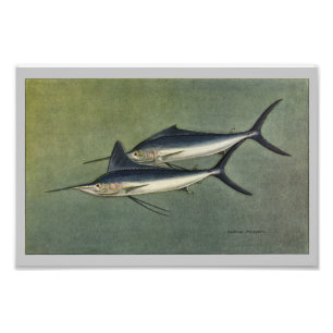 Marlin oder Spearfish Vintage Fischdruckerei Fotodruck