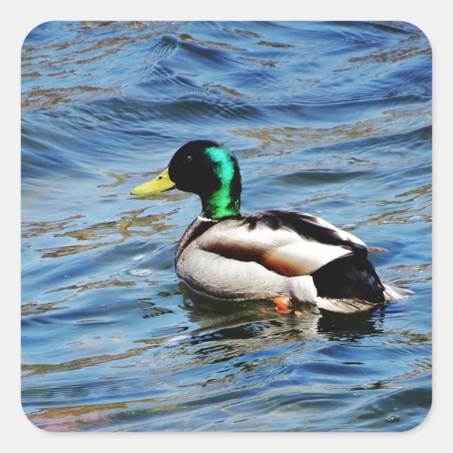 Marllad Quadratischer Aufkleber (Vorderseite)