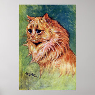 Marmalade Katze mit blauen Augen Poster