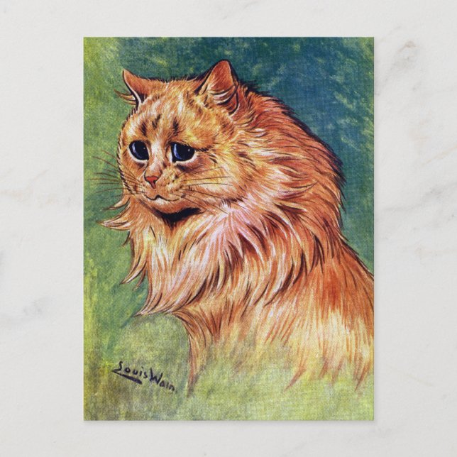 Marmalade Katze mit blauen Augen Postkarte (Vorderseite)
