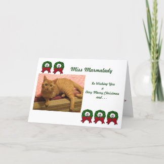 Marmalady Cat Rescue Christmas Cards Feiertagskarte