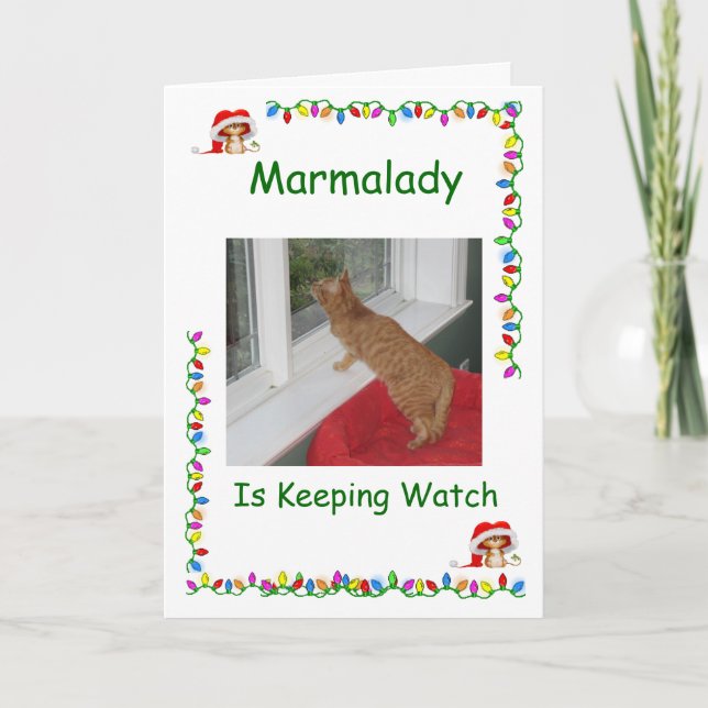Marmalady Cat Rescue Weihnachtskarten Feiertagskarte (Vorderseite)