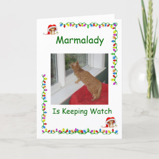Marmalady Cat Rescue Weihnachtskarten Feiertagskarte