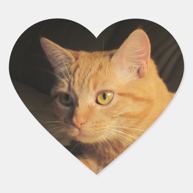 Marmalady Heart Stickers (Vorderseite)