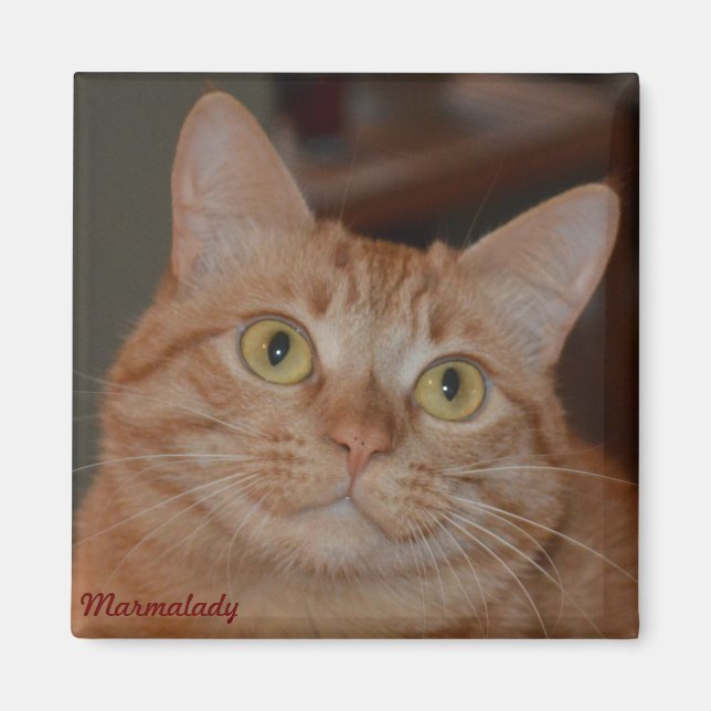 Marmalady & "The Smile" Magnet (Vorne)