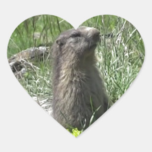 Marmofrühjahr Tierblumen Herz-Aufkleber