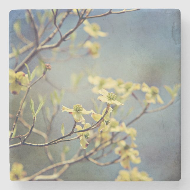 Marmor- und Dogwoods-Untersetzer Steinuntersetzer (Vorderseite)