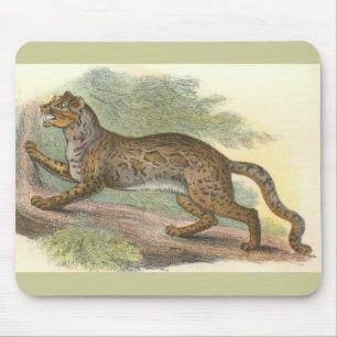 Marmorkatze, Felis marmorata Mousepad