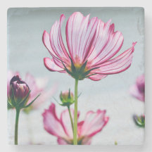 Marmorkosmos-Untersetzer