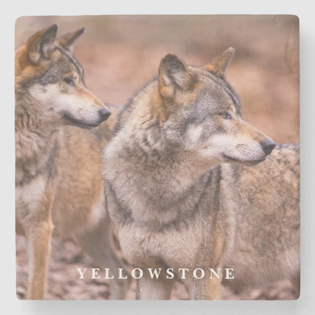 Marmorstone Untersetzer-Yellowstone Wolves Steinuntersetzer (Vorderseite)