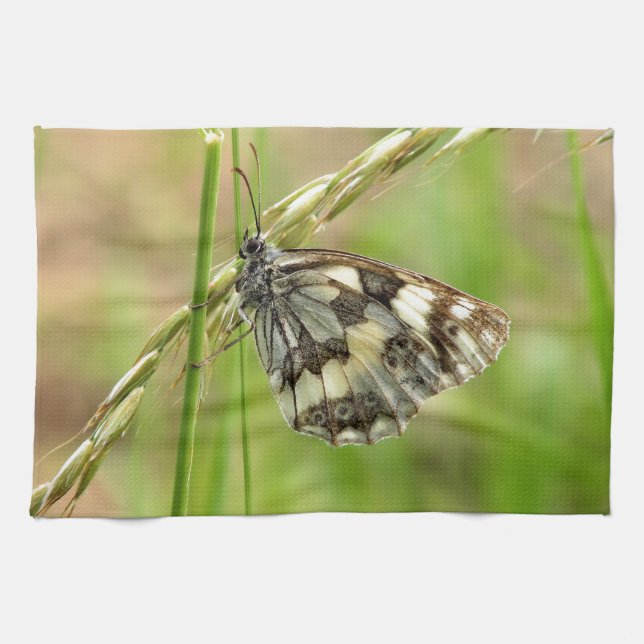 Marmorweißer Schmetterling auf Gras Geschirrtuch (Horizontal)