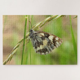 Marmorweißer Schmetterling auf Gras Puzzle