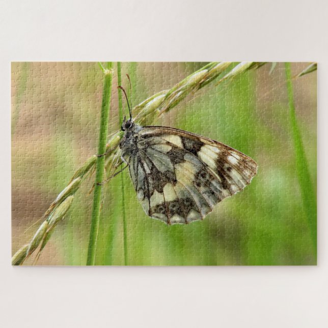 Marmorweißer Schmetterling auf Gras Puzzle (Horizontal)