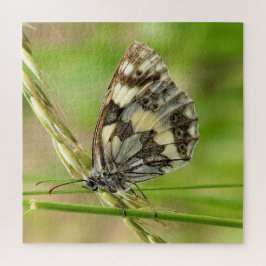 Marmorweißer Schmetterling auf Gras Puzzle