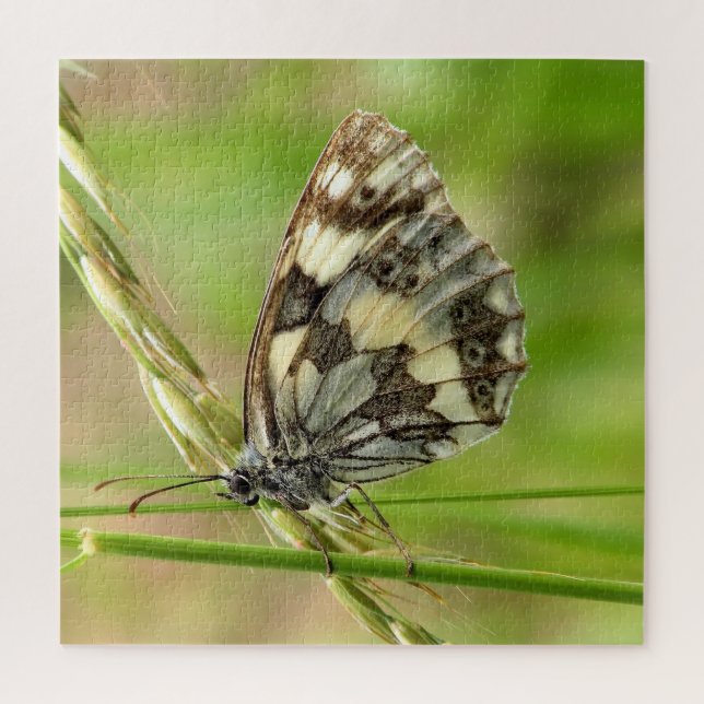 Marmorweißer Schmetterling auf Gras Puzzle (Vertikal)