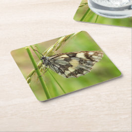 Marmorweißer Schmetterling auf Gras Rechteckiger Pappuntersetzer