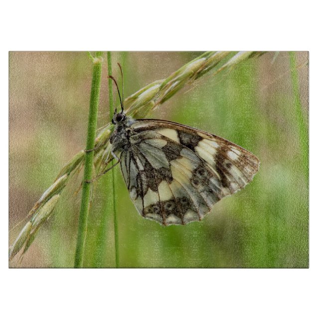 Marmorweißer Schmetterling auf Gras Schneidebrett (Vorderseite)