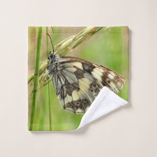 Marmorweißer Schmetterling auf Gras Waschlappen (Waschlappen)