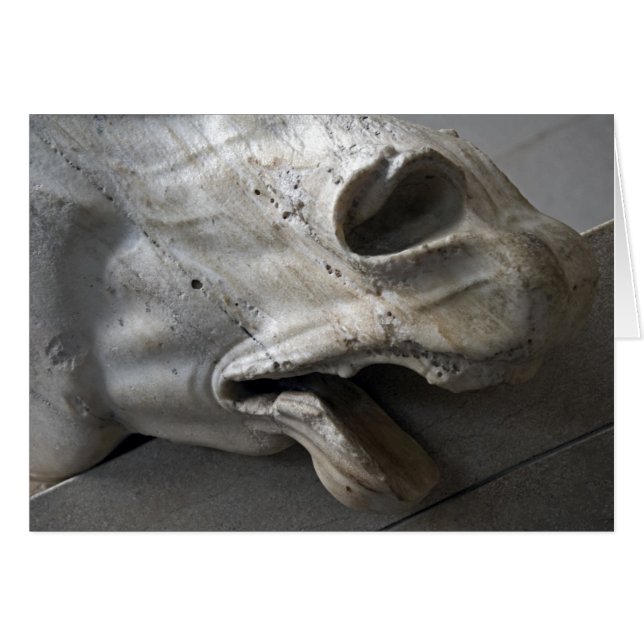 Marmorwiehern - Karte (Vorderseite (Horizontal))