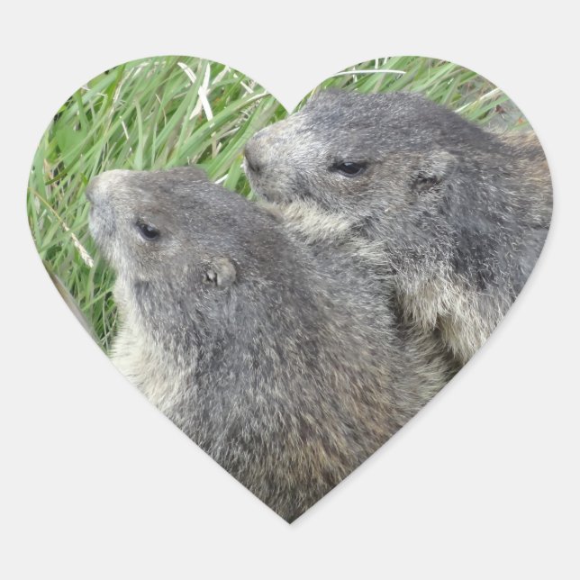 Marmot-Aufkleber Herz-Aufkleber (Vorderseite)