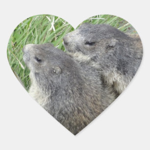 Marmot-Aufkleber Herz-Aufkleber