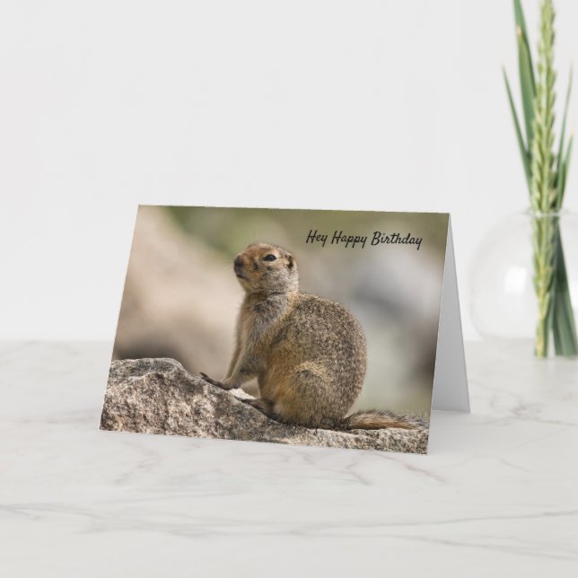 Marmot Birthday Card Karte (Vorderseite)