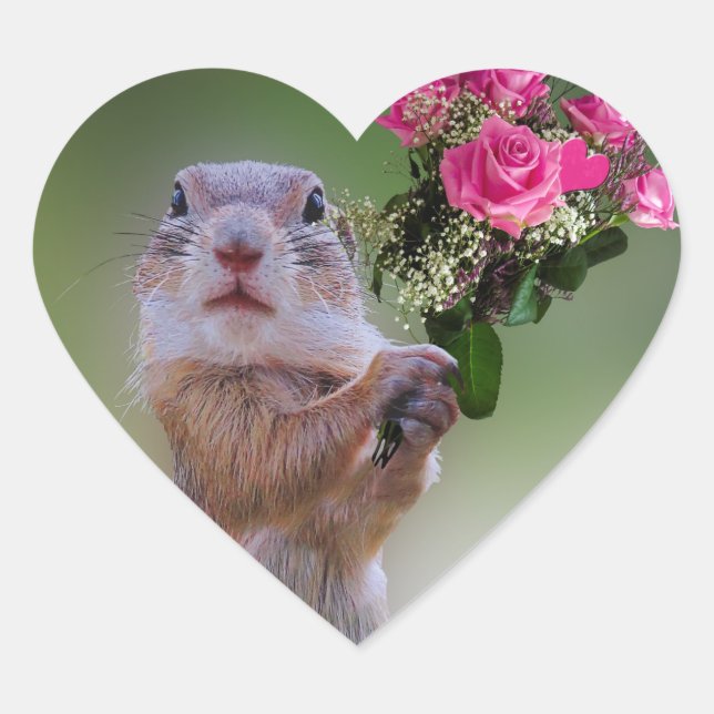 Marmot Bouquet Herz-Aufkleber (Vorderseite)