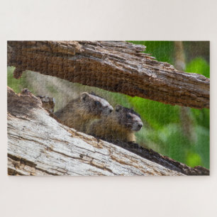 Marmot Brothers Puzzle