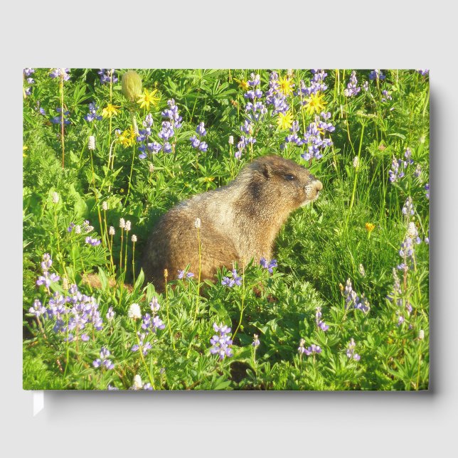 Marmot in den Wildblumen des Berges Rainier Gästebuch (Vorderseite)