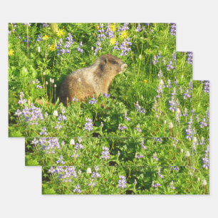 Marmot in den Wildblumen des Berges Rainier Geschenkpapier Set