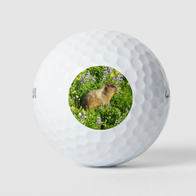 Marmot in den Wildblumen des Berges Rainier Golfball (Vorderseite)