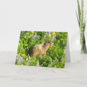 Marmot in den Wildblumen des Berges Rainier Karte