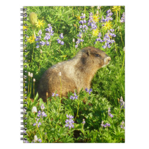 Marmot in den Wildblumen des Berges Rainier Notizblock