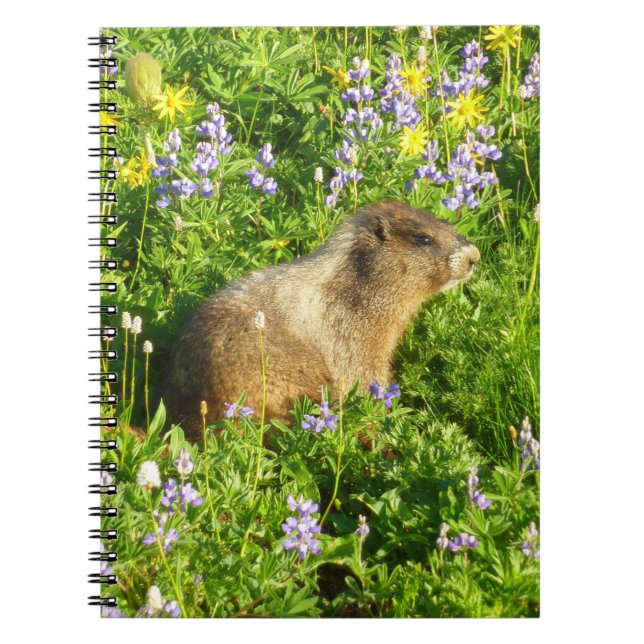 Marmot in den Wildblumen des Berges Rainier Notizblock (Vorderseite)