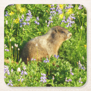 Marmot in den Wildblumen des Berges Rainier Rechteckiger Pappuntersetzer