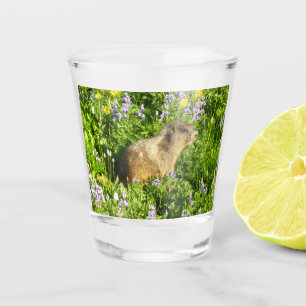 Marmot in den Wildblumen des Berges Rainier Schnapsglas