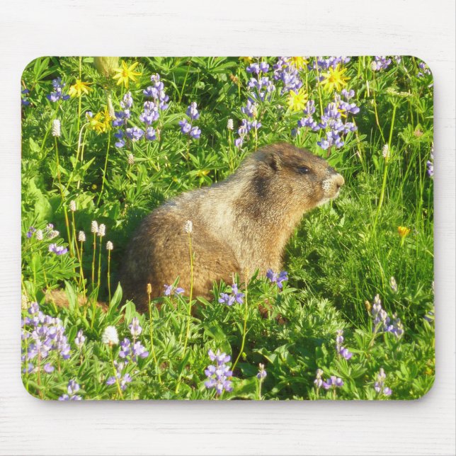 Marmot in Mount Rainier Wildflowers Mousepad (Vorne)