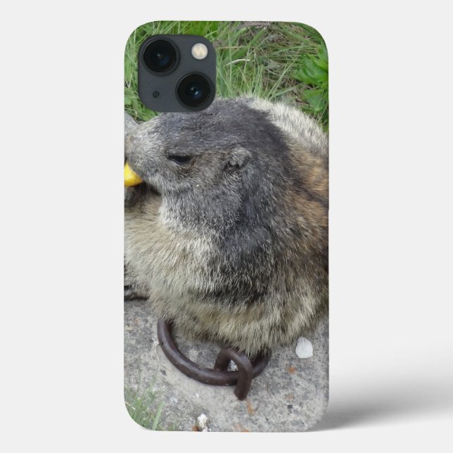Marmot iPad Hüllen (Rückseite)