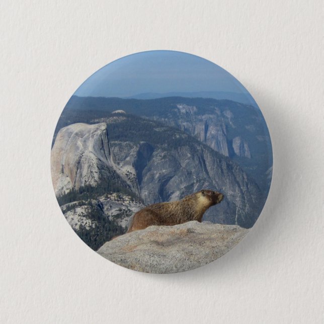 Marmot mit Blick auf den Halbkuppel von der Clouds Button (Vorderseite)