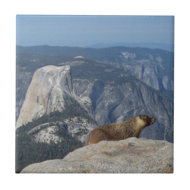 Marmot mit Blick auf den Halbkuppel von der Clouds Fliese (Vorderseite)