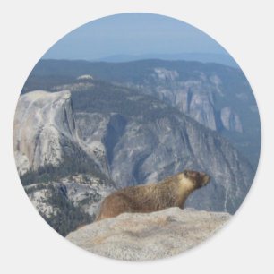 Marmot mit Blick auf den Halbkuppel von der Clouds Runder Aufkleber