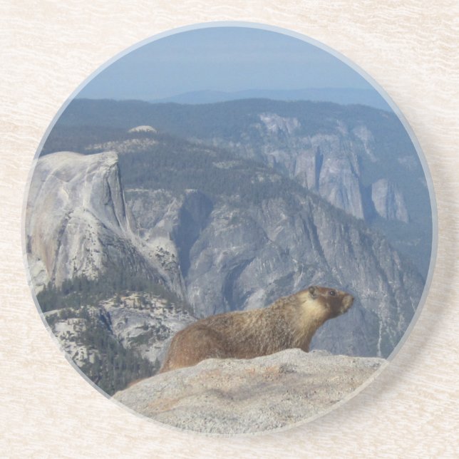 Marmot mit Blick auf den Halbkuppel von der Clouds Sandstein Untersetzer (Vorne)