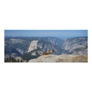 Marmot mit Blick auf den Halbkuppel - Yosemite Fotodruck