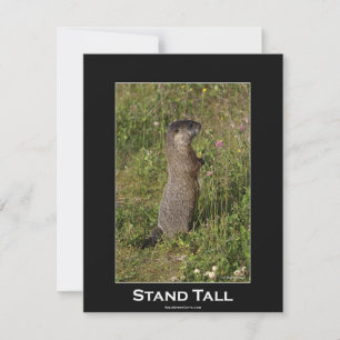 Marmot Motivierend Einladungskarte Einladung