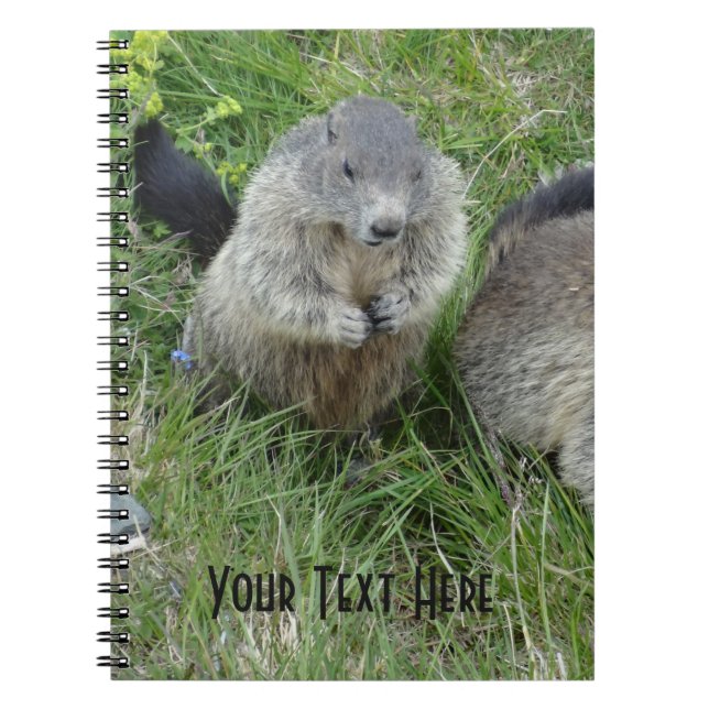 Marmot-Notebook Notizblock (Vorderseite)