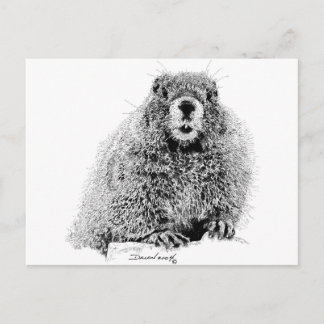 Marmot Postkarte