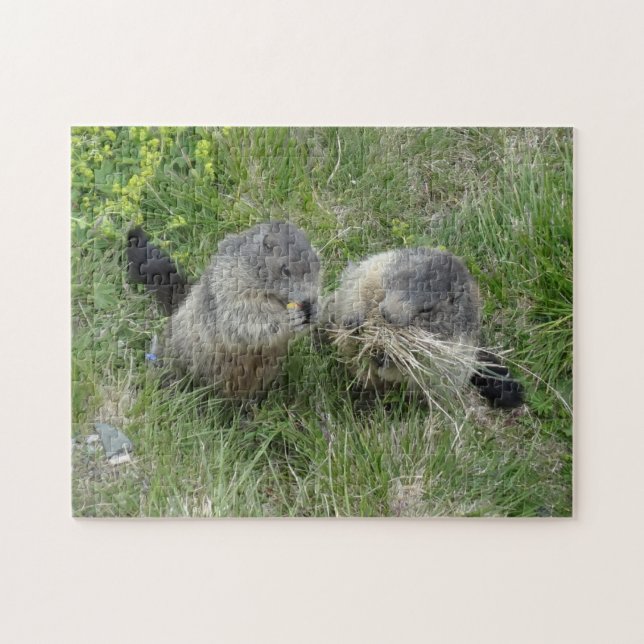 Marmot-Puzzle Puzzle (Horizontal)